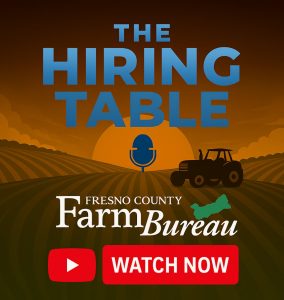 image Stardom Employment Consulting